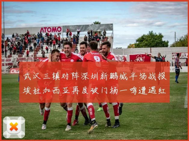 武汉三镇对阵深圳新鹏城半场战报埃杜加西亚再度破门杨一鸣遭遇红牌处罚