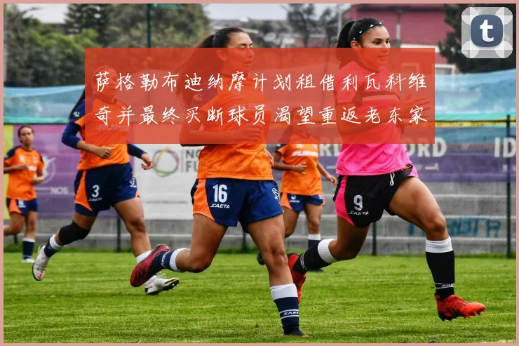 萨格勒布迪纳摩计划租借利瓦科维奇并最终买断球员渴望重返老东家