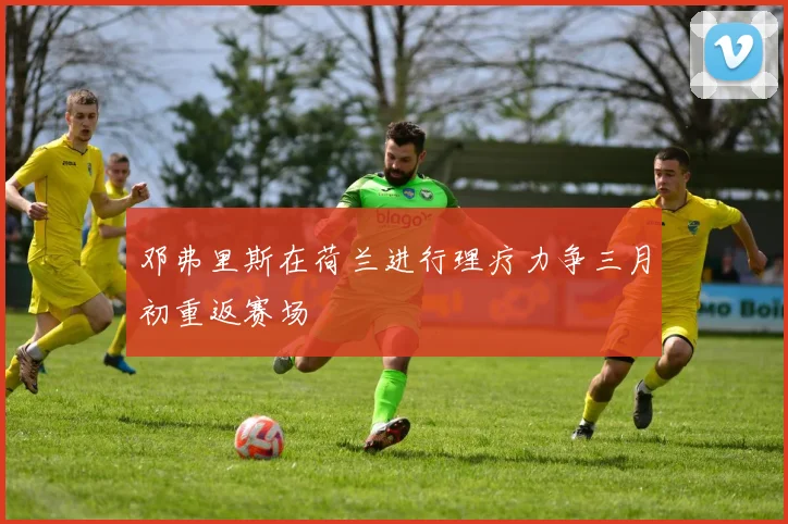 邓弗里斯在荷兰进行理疗力争三月初重返赛场